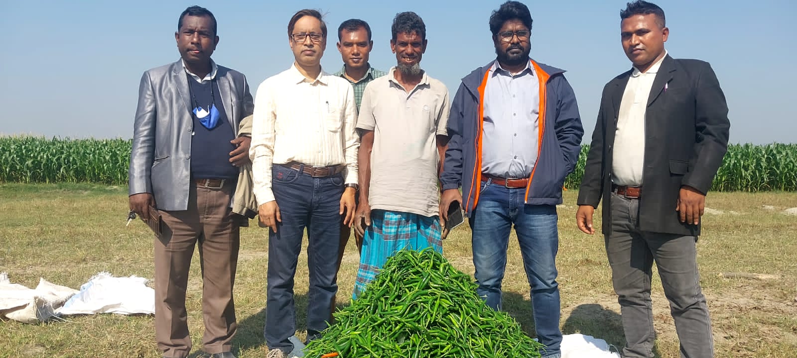 Read more about the article চরাঞ্চলে হাইব্রিড মরিচ চাষে কৃষকরা বাম্পার ফলন পাচ্ছে